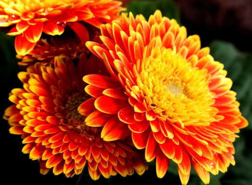 524148 (a): :2915x2132